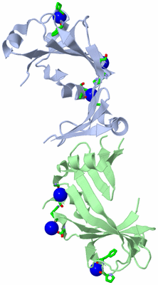 Image Asym./Biol. Unit - sites