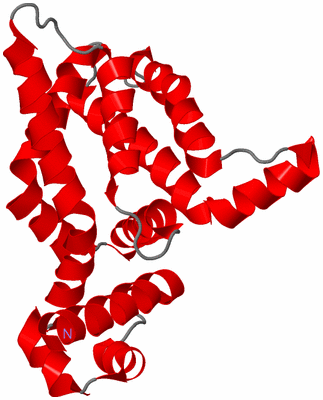 Image Asymmetric Unit