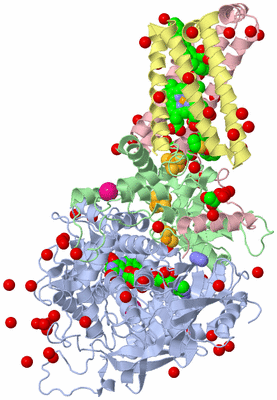Image Biological Unit 1