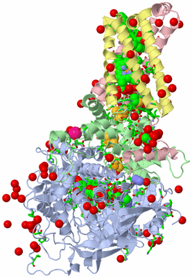 Image Biol. Unit 1 - sites