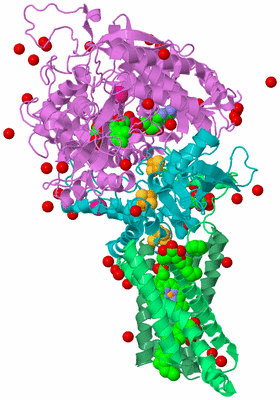 Image Biological Unit 2
