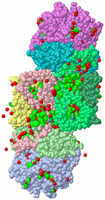 Image Asym. Unit - sites