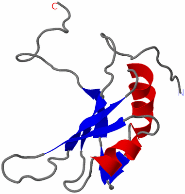 Image NMR Structure - model 1