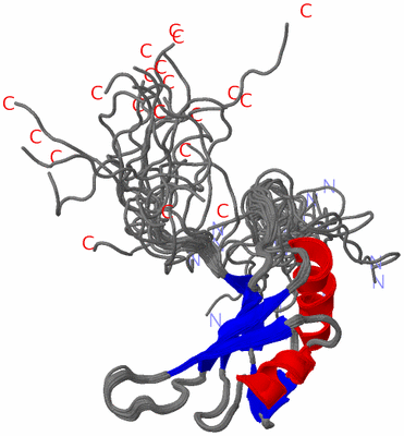 Image NMR Structure - all models