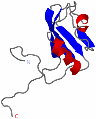 Image NMR Structure - model 1