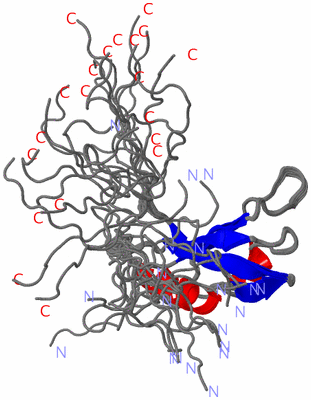 Image NMR Structure - all models