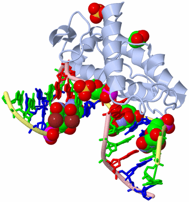 Image Biological Unit 1