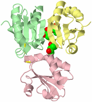 Image Biological Unit 10