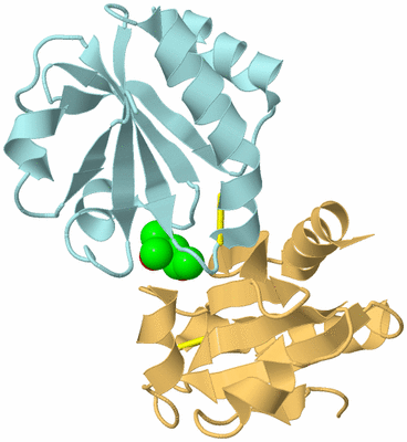 Image Biological Unit 11