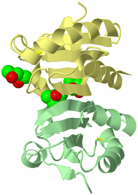 Image Biological Unit 12