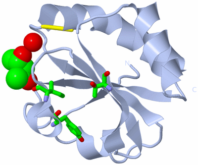 Image Biol. Unit 1 - sites