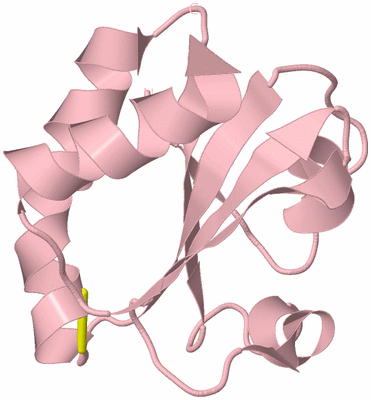 Image Biological Unit 3