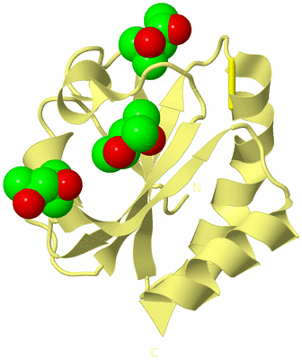 Image Biological Unit 4