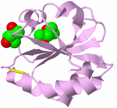 Image Biological Unit 5