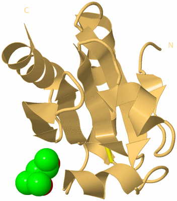 Image Biological Unit 7