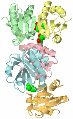 Image Biological Unit 8