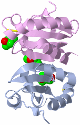 Image Biological Unit 9