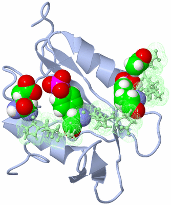 Image NMR Structure - model 1