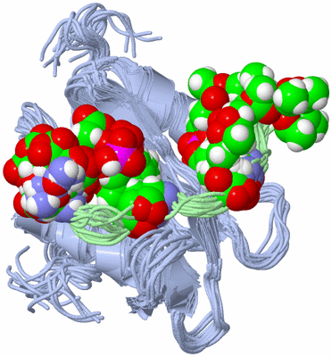 Image NMR Structure - all models