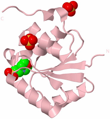 Image Biological Unit 3