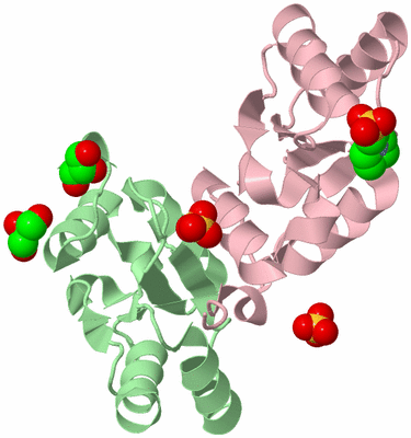 Image Biological Unit 4