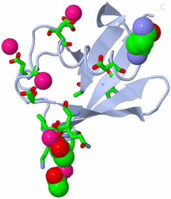 Image Biol. Unit 1 - sites