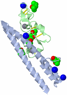 Image Biological Unit 1