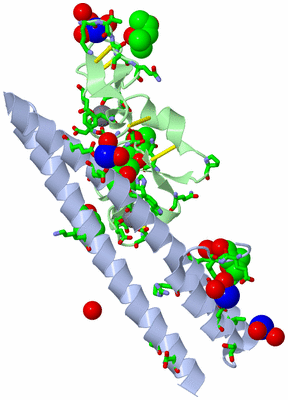 Image Biol. Unit 1 - sites