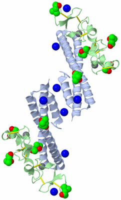 Image Biological Unit 2