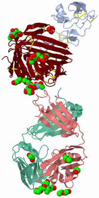 Image Biological Unit 2