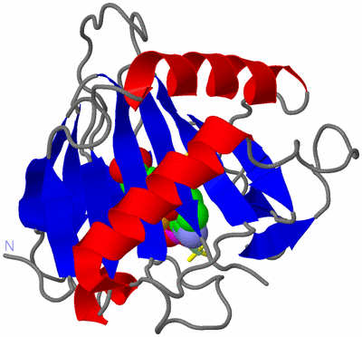 Image Asym./Biol. Unit