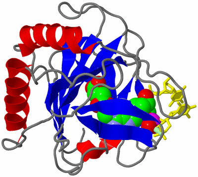 Image Asym./Biol. Unit