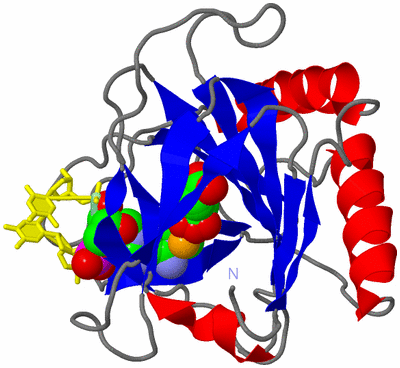 Image Asym./Biol. Unit