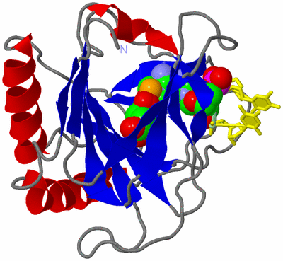 Image Asym./Biol. Unit