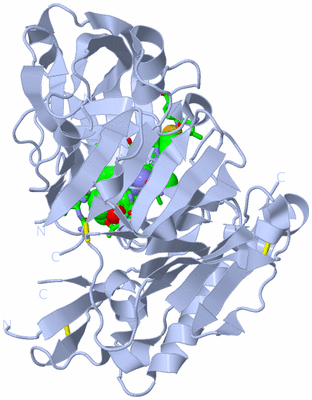 Image Biol. Unit 1 - sites