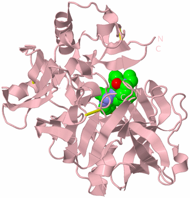 Image Biological Unit 3