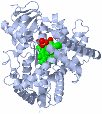 Image Biological Unit 1