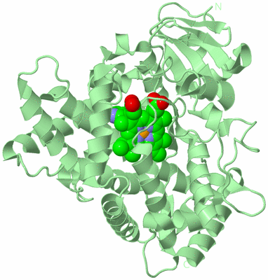 Image Biological Unit 2