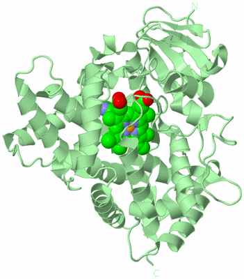 Image Biological Unit 2