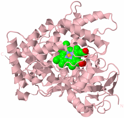 Image Biological Unit 3