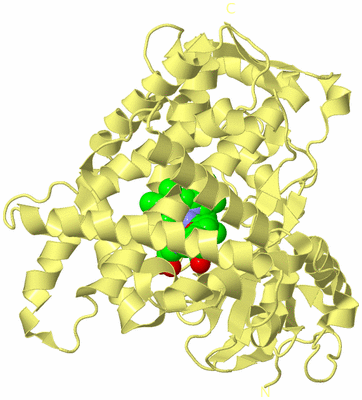 Image Biological Unit 4