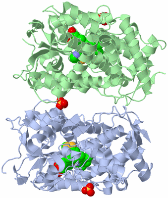 Image Biological Unit 5