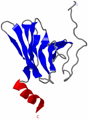 Image NMR Structure - model 1
