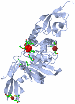 Image Biol. Unit 1 - sites