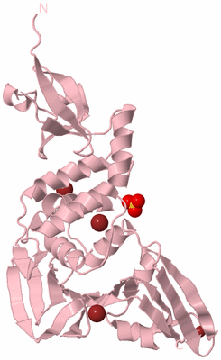 Image Biological Unit 3