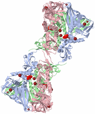 Image Biological Unit 4