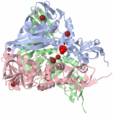 Image Biological Unit 5