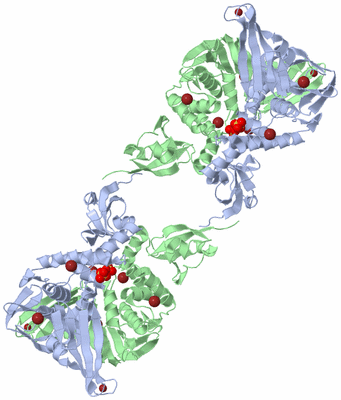 Image Biological Unit 6