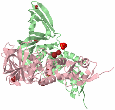 Image Biological Unit 7