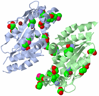 Image Asymmetric Unit